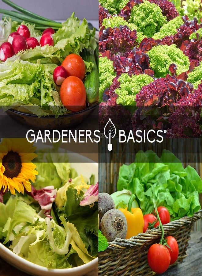 Gardeners Basics بذور خضراوات تراثية من غاردنرز بيسكس، غير معدلة وراثيًا، للزراعة الداخلية والخارجية - خس باتركرانش، خس روماني، جرجير، كرنب، وسبانخ، عبوة من 5 بذور - Image 5